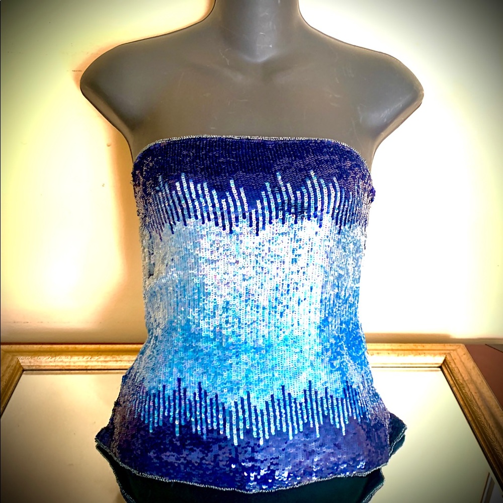 Stunning Sequin and pure silk crop top!